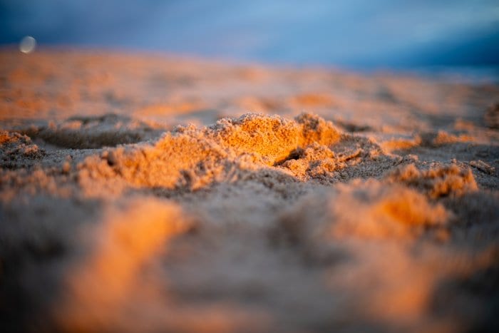 _DSC1465