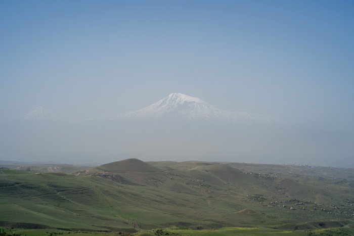 _DSC4415