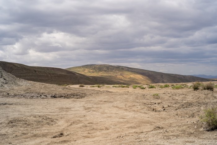 _DSC5095