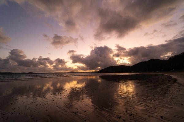 _DSC8052