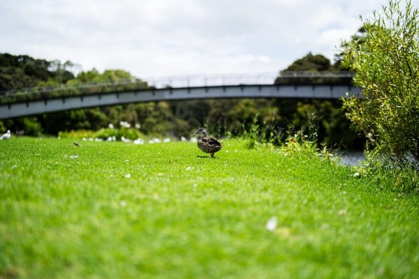 _DSC8140