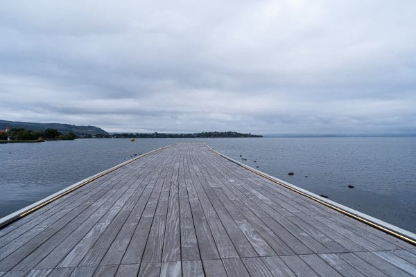 _DSC8319
