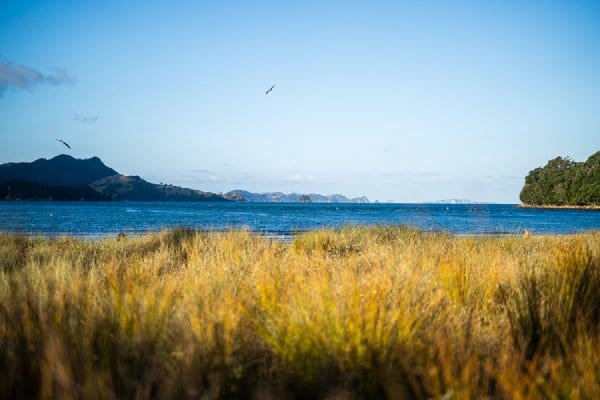 _DSC8825