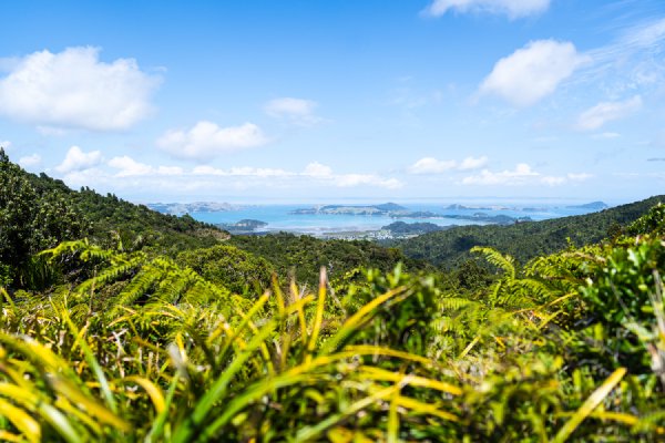 New Zealand