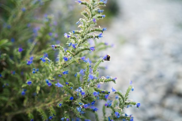 004___DSC8954