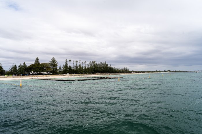 _DSC0223
