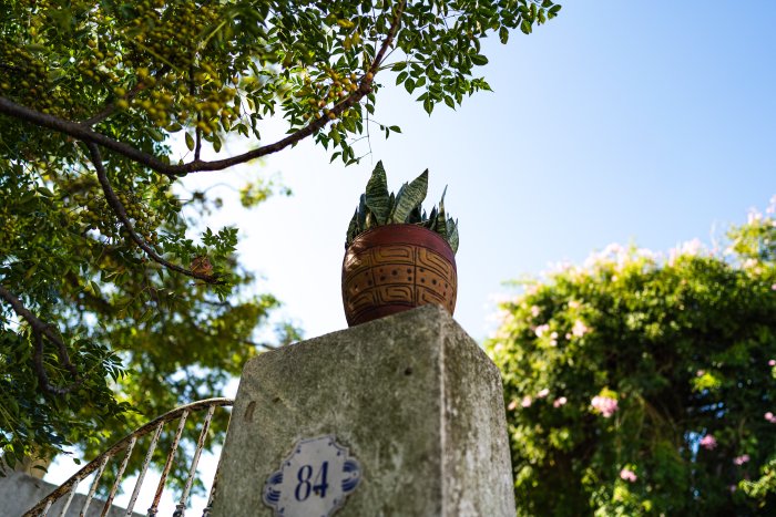 _DSC0771