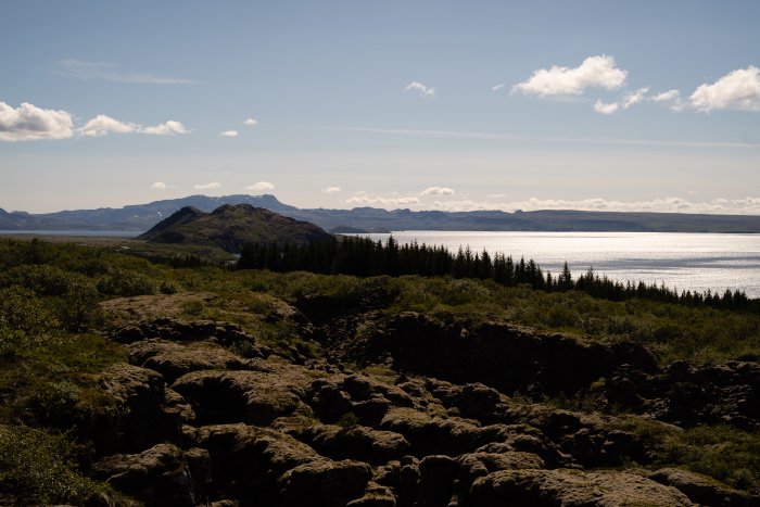 _DSC4625