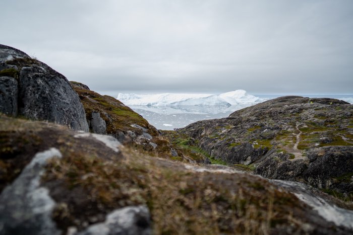 _DSC5249