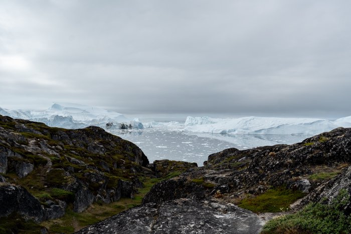 _DSC5253 2