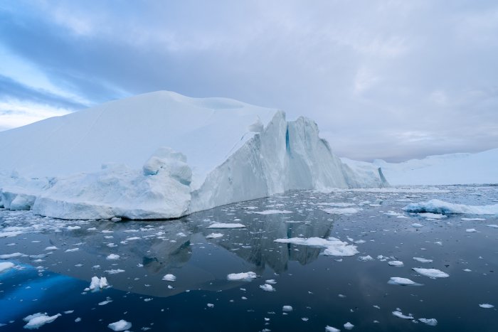 _DSC5385
